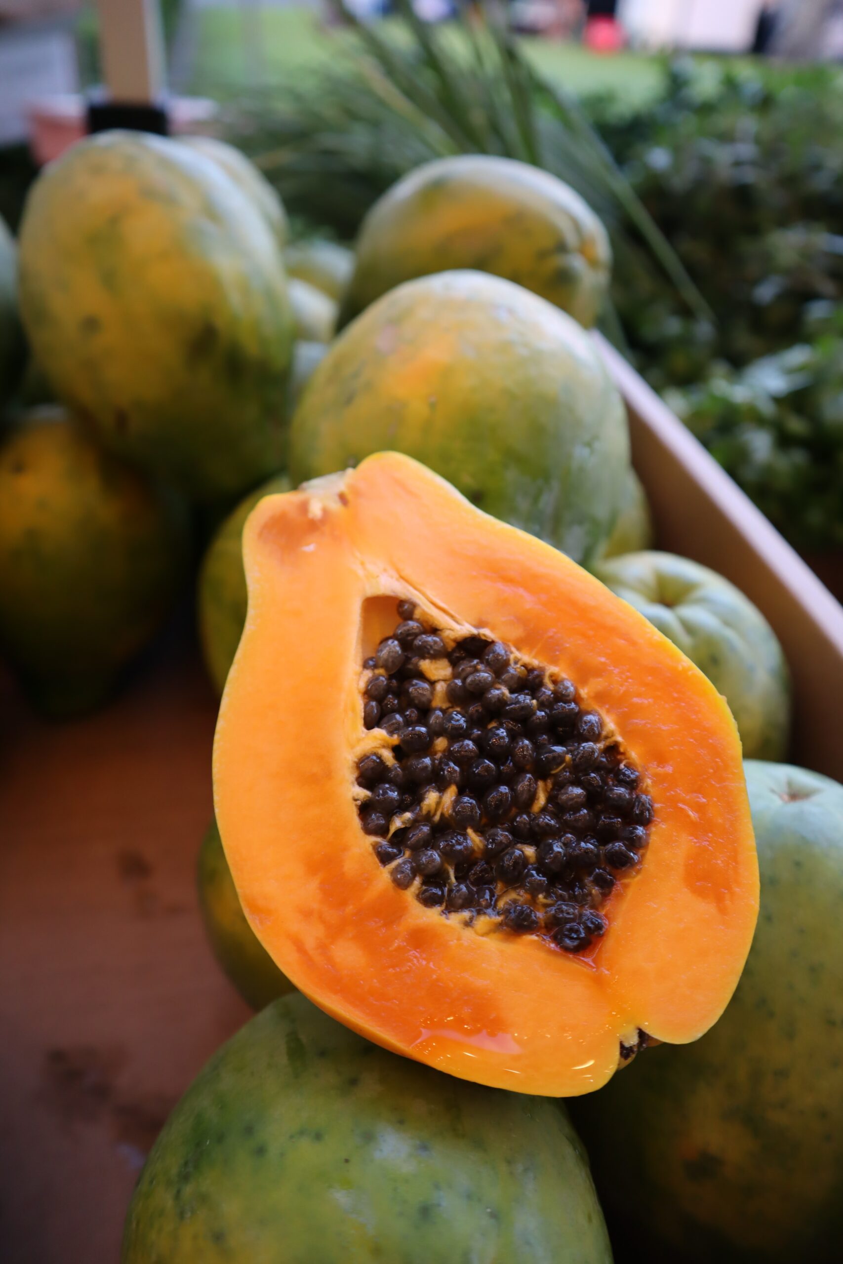 papaya vitamin C folic acid and probiotics